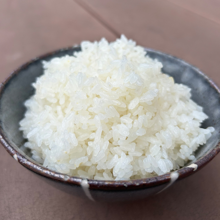 【令和7年産】訳あり コシヒカリ 中米 精米 10kg【茨城県共通返礼品　美浦村産】｜ 規格外 こしひかり 白米 ※離島への配送不可