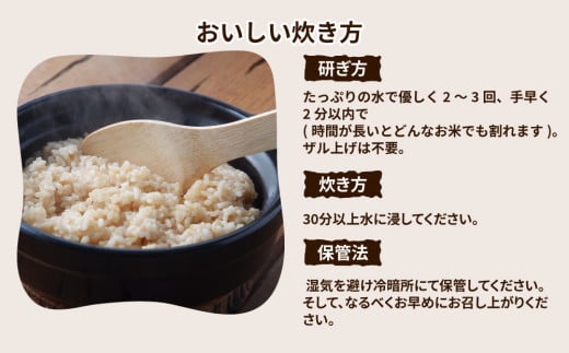 令和7年産 茨城県産 ミルキークイーン 玄米 2kg×10袋｜このお米は石抜き機、色彩選別機の処理済みです ※離島への配送不可　※2025年10月下旬頃～2026年7月下旬頃に順次発送予定
