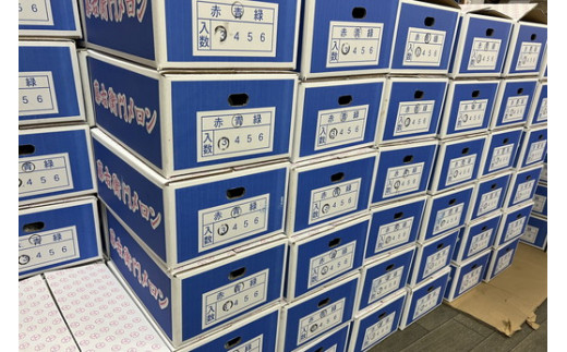 【先行予約】オリジナルブランド藤右衛門メロン4～5玉 芳醇な薫り緻密な果肉 爽やかな甘みをぜひお楽しみください　※離島への配送不可　※2025年5月下旬～6月下旬頃に順次発送予定