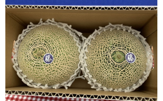 【先行予約】オリジナルブランド藤右衛門メロン2玉 芳醇な薫り緻密な果肉 爽やかな甘みをぜひお楽しみください　※離島への配送不可　※2025年5月下旬～6月下旬頃に順次発送予定