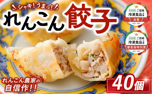 「ご当地冷凍食品アワード2025-2026」金賞受賞！！ シャキ！うまっ！れんこん餃子（40個） ｜ 茨城県 レンコン 蓮根 野菜 シャキシャキ 冷凍 食品 惣菜 中華 ぎょうざ ギョウザ ※2026年3月上旬～3月下旬頃に順次発送予定 ※離島への配送不可