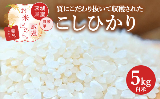 お米屋が厳選した 農家単一の茨城県産 こしひかり 5kg ※離島への配送不可 ※2026年1月下旬～8月下旬頃に順次発送予定