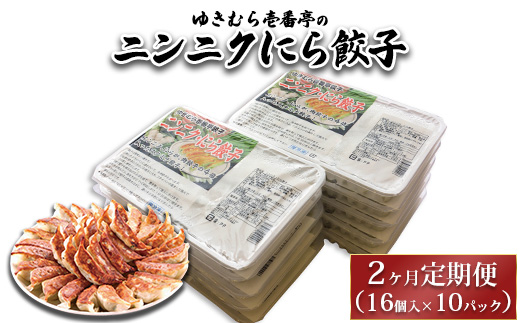 【2ヶ月定期便】ゆきむら壱番亭のニンニクにら餃子10パック(160個入り) ※離島への配送不可