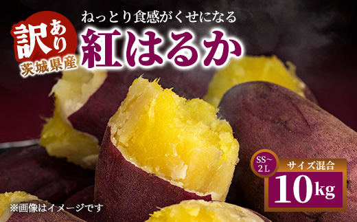 【訳あり】生芋10kg　SSサイズ～2Lサイズ（サイズバラ）　※離島への配送不可　※2025年12月下旬頃より順次発送予定