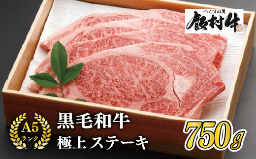 極上ステーキ750g 前後【飯村牛】和牛格付け最高A5ランクの牛肉を、贅沢に厚切りステーキでご用意致しました。配送不可地域：離島 牛肉
