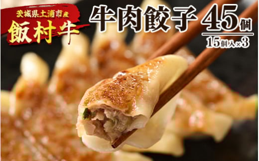 牛肉餃子　45個（15個入り×3） ｜ 餃子 ギョウザ ぎょうざ 冷凍 冷凍食品 蒸し焼き 簡単調理 お弁当 おかず おつまみ 惣菜 肉 牛肉 和牛 ビーフ ※離島への配送不可