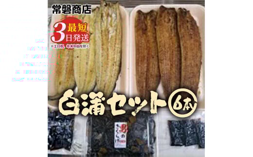 国産うなぎ白蒲セット6本【最短3日発送】うなぎの白焼き（120g～130g×3尾）、うなぎの蒲焼き（120g～130g×3尾）、男のきくらげのセット｜国産のブランド鰻を職人が丁寧に焼き上げた蒲焼きと白焼き。土用の丑の日に！ ※離島への配送不可