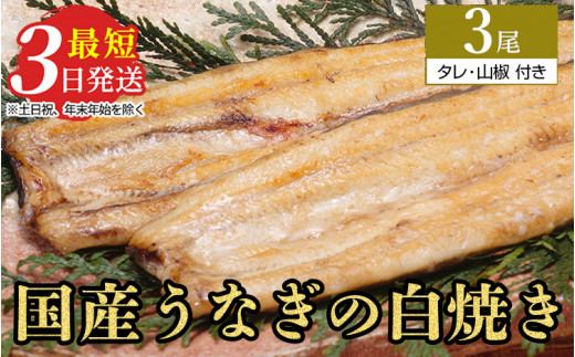 うなぎ白焼き　3尾（120g以上×3尾） | メディアに紹介されたうなぎ屋 国産 冷蔵 うなぎ 鰻 ウナギ タレ・山椒つき しら焼き 土用丑の日　※離島への配送不可
