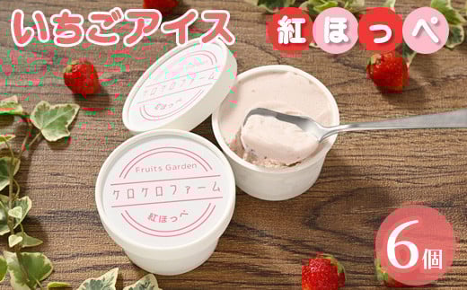 いちごアイス6個セット（紅ほっぺ）苺アイス、イチゴアイス、べにほっぺ　アイス　アイスクリーム　カップアイス　※離島への配送不可