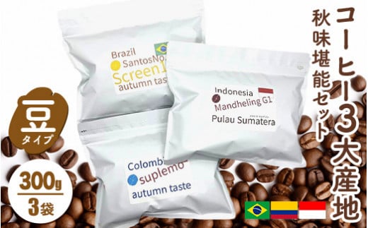 豆のまま【コーヒー3大産地 秋味堪能セット 300g×3袋】　※離島への配送不可