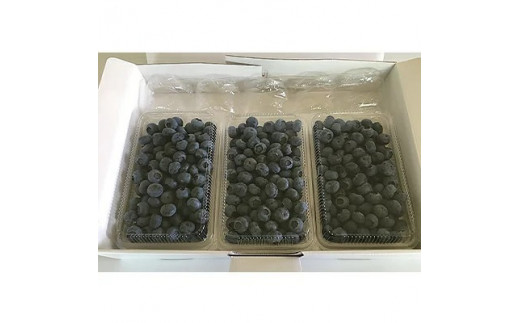 【先行予約】茨城県土浦市産の生ブルーベリー プレミアム大粒 約1kg(3パックで1kg以上)｜茨城県土浦市にある自然循環型農園くぬぎ野ふぁーむで手塩にかけたブルーベリーは大粒で濃厚な味の実をつけてくれます。栽培期間中農薬不使用 ※配送不可地域：離島
