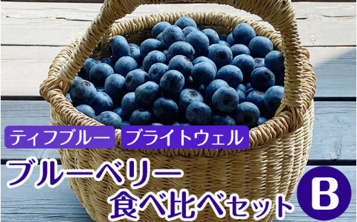 大粒 ブルーベリー食べ比べセット (B) 農薬不使用※離島への配送不可※着日指定不可