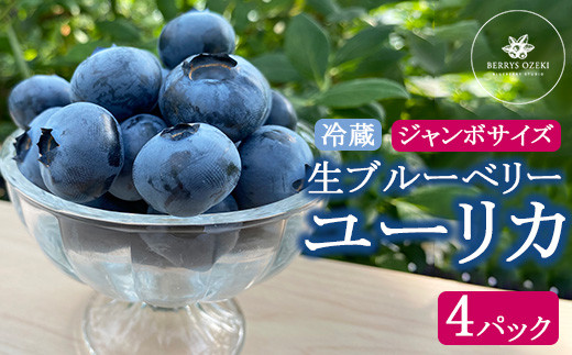 ユーリカ ブルーベリー 大粒 ジャンボサイズ 4パック｜生果実 甘い フルーティー 高級感 パリッと食感 ※離島への配送不可