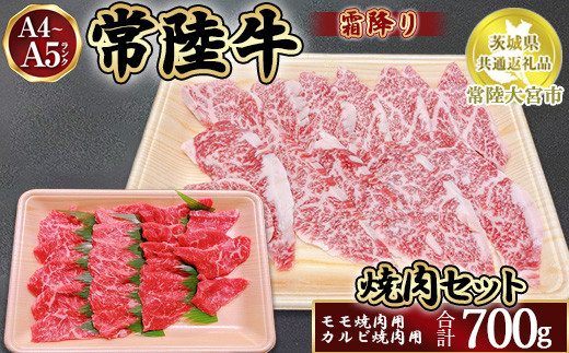 瑞穂農場で育てた常陸牛焼肉セット700g【茨城県共通返礼品　常陸大宮市】　※離島への配送不可