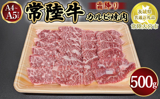 瑞穂農場で育てた常陸牛カルビ焼肉500g【茨城県共通返礼品　常陸大宮市】　※離島への配送不可