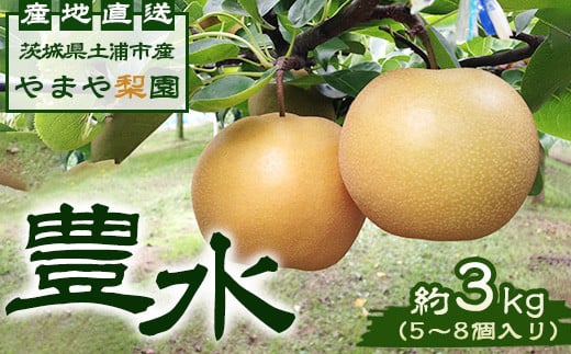 【先行予約】豊水約3kg（5～8個入り） ※2025年8月下旬～9月上旬頃に順次発送予定【茨城県産】※離島への配送不可