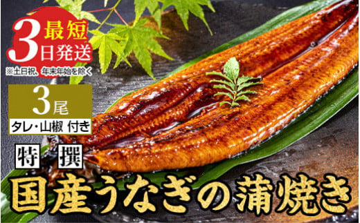 特選 国産うなぎ蒲焼き 3尾(120g以上×3尾) | メディアに紹介されたうなぎ屋 国産 冷蔵 うなぎ 鰻 ウナギ タレ・山椒つき かば焼き 土用丑の日 ※離島への配送不可