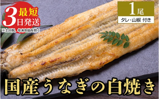 うなぎ白焼き 1尾(120g以上×1尾) | メディアに紹介されたうなぎ屋 国産 冷蔵 うなぎ 鰻 ウナギ タレ・山椒つき しら焼き 土用丑の日 ※離島への配送不可