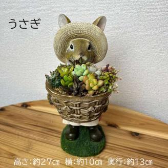 多肉植物の寄せ植え（うさぎ） ※北海道・沖縄・離島への配送不可 | 観葉植物 植物 グリーン 多肉 寄せ植え 室内 鉢植え ギフト 贈答 贈り物 プレゼント お祝い 直送 農家直送 茨城県 古河市 送料無料 _FC08