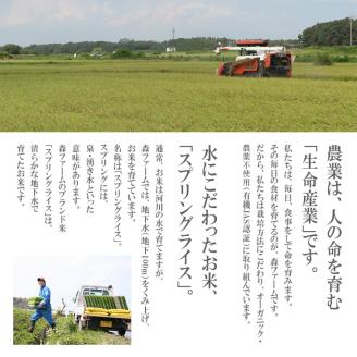 スプリングライス ミルキークィーン (無洗米) 10kg ※着日指定不可 | 米 こめ コメ 10キロ 無洗米 白米 ミルキークイーン みるきーくいーん 古河市産 茨城県産 取り寄せ お取り寄せ ギフト 贈答 贈り物 プレゼント お中元 お歳暮 茨城県 古河市 直送 農家直送 産地直送 送料無料 _BI37