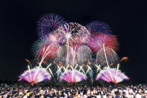 CV08_まくらがの里　ふるさと古河応援寄附金30,000円【返礼品なし】