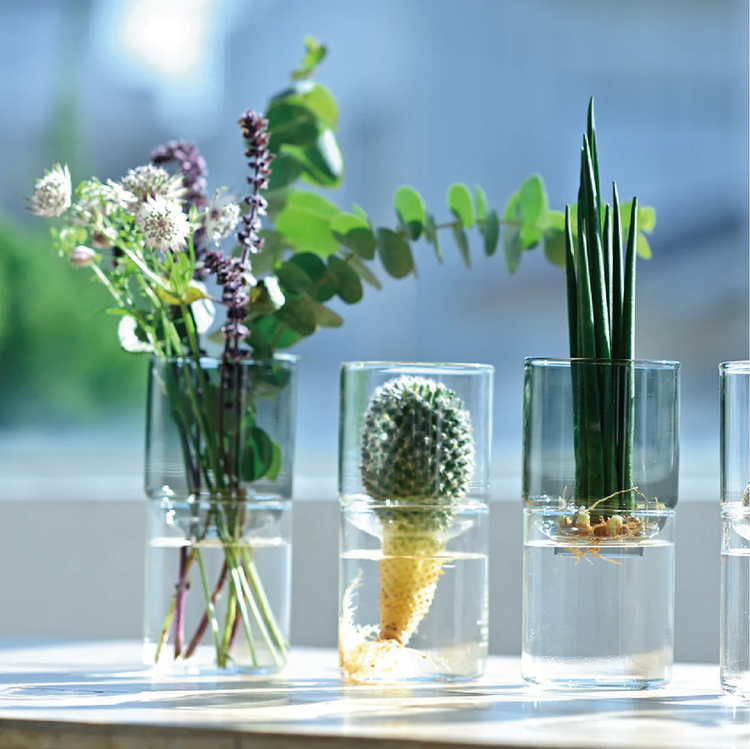 HARIO ガラスの花器 GK-200-TB ※離島への配送不可 | ガラス ハリオ はりお 耐熱 花瓶 水耕栽培 花 インテリア 日用品 便利 簡単 手軽 おしゃれ ギフト 贈答 贈り物 プレゼント お祝 記念品 景品 茨城県 古河市_EB53