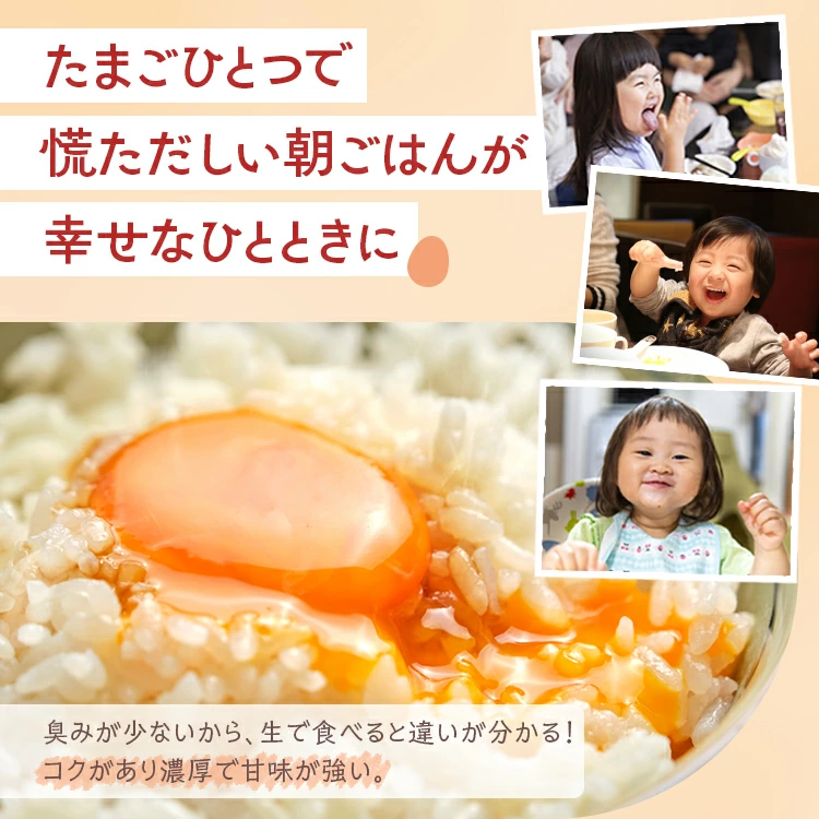 【6ヶ月定期便】小久保ファーム 濃厚卵黄 産みたてたまご 赤玉30個入り（M玉） | 定期便 6カ月 6回 卵 30個 赤玉 玉子 たまご タマゴ 生卵 鶏卵 産みたて 新鮮 濃厚 健康 国産 ギフト 贈答 贈り物 お中元 お歳暮 プレゼント 農家直送 _EI06