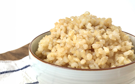 米農家の無添加 玄米ごはん お試し3種類×8個セット ※着日指定不可 | パック チルド ご飯パック お試し 玄米 24食 米 こめ コメ ご飯 ごはん 雑穀 蕎麦 そば ブレンド レトルト 国産 古河市産 茨城県産 贈答 贈り物 プレゼント レンジで簡単 温めるだけ 茨城県 古河市 直送 農家直送 産地直送 送料無料 _BI83