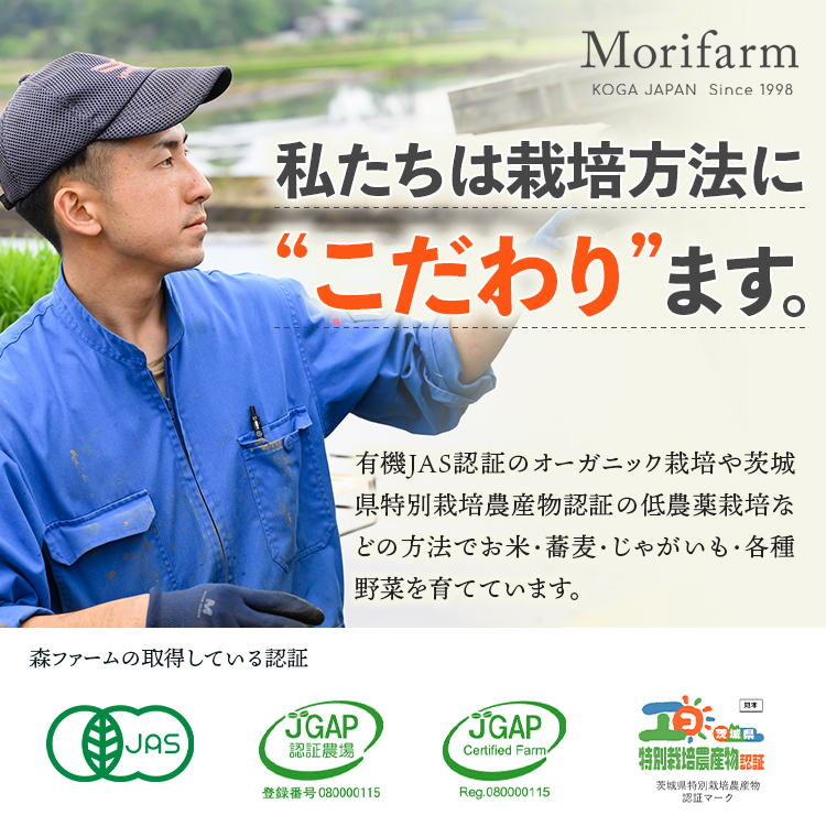 森ファームの美穀美人 ミックス 200g×3個｜健康 国産 ヘルシー 食物繊維 ブレンド 雑穀米 オーガニック 米 おいしい 便利 簡単 産地直送 ギフト 贈答 プレゼント ご褒美 600g 茨城 古河市 _BI98