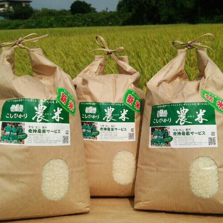 【定期便6か月】【新米】古河市産　コシヒカリ15kg【倉持農園】_AN07