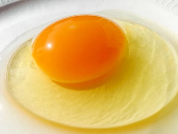 【定期便12か月】 江原ファーム　地養卵＆アローカナハーフセット（計20個）｜卵 たまご タマゴ 生みたて 産みたて 新鮮 濃厚 健康 赤玉 青い卵 産地直送_AG27