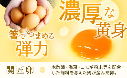 関匠卵 ひびき+アローカナハーフセット（計20個） ※北海道・沖縄・離島への配送不可 | 卵 30個 食べ比べ 玉子 たまご タマゴ 生卵 鶏卵 生みたて 産みたて アローカナ 赤玉 食べくらべ セット 新鮮 濃厚 健康 青い卵 TKG たまごかけごはん ご飯のお供 国産 ギフト 贈答 贈り物 お中元 お歳暮 プレゼント 茨城県 古河市 直送 農家直送 産地直送 送料無料 _CP06