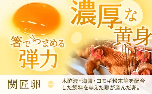 【定期便6か月】関匠卵 たくみ 30個×6か月｜卵 30個 赤玉 玉子 たまご 生卵 鶏卵 産みたて 新鮮 濃厚 健康 TKG たまごかけごはん ご飯のお供 国産 ギフト 贈答 贈り物 お中元 お歳暮 プレゼント 茨城県 古河市 農家直送 _CP09 ※北海道・沖縄・離島への配送不可
