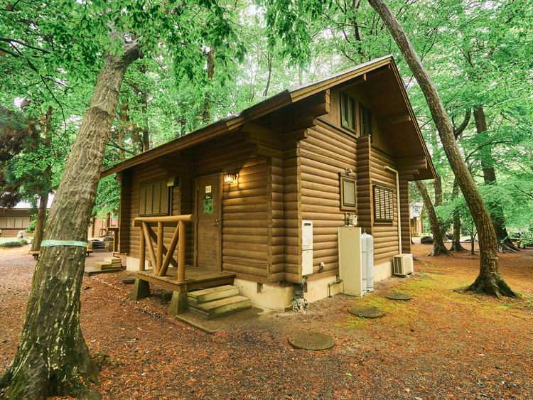 ネーブルパーク 施設利用券 6,000円分（500円×12枚） | 利用券 公園 テーマパーク ポニー 工芸 パン キャンプ 宿泊 BBQ バーベキュー 地下迷路 迷路 自然 花 贈答 休日 夏休み 冬休み GW 贈り物 プレゼント 茨城県 古河市 送料無料 _DP14