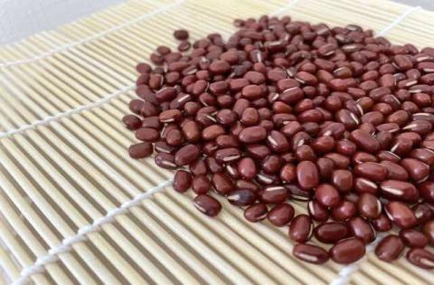 粒練り餡　1kg ※着日指定不可 | あんこ アンコ 餡子 餡 あん 小豆 １キロ 粒あん つぶ餡 ヘルシー おかし お菓子 菓子 甘味 スイーツ 和菓子 低脂質 筋トレ お菓子作り お取り寄せ 直送 工場直送 茨城県 古河市 送料無料 _EL02