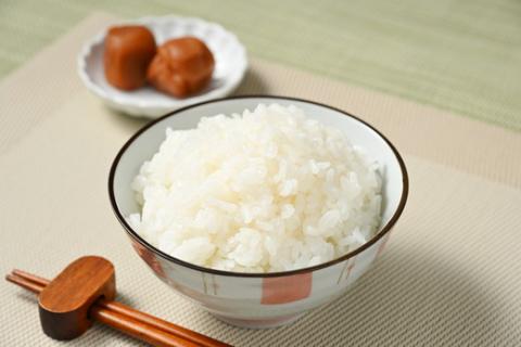 【令和7年産 新米】食べ比べ　にじのきらめき・コシヒカリ 合計4kg【荒川アグリ】 | 米 こめ コメ 4キロ 精米 食べ比べ 食べくらべ 虹のきらめき にじきら こしひかり コシヒカリ 古河市産 茨城県産 贈答 贈り物 プレゼント 茨城県 古河市 直送 農家直送 産地直送 送料無料 ※2025年10月上旬頃より順次発送予定 _DH05