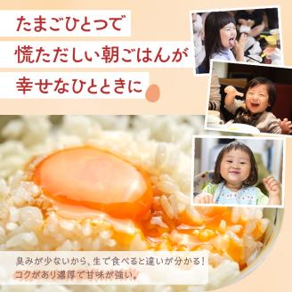 【定期便（３カ月）】小久保ファーム　濃厚卵黄　産みたてたまご　赤玉30個入り（M玉） ※着日指定不可 | 卵 定期便 30個 赤玉 玉子 たまご タマゴ 生卵 鶏卵 生みたて 産みたて 新鮮 濃厚 健康 TKG たまごかけごはん ご飯のお供 国産 ギフト 贈答 贈り物 お中元 お歳暮 プレゼント 茨城県 古河市 直送 農家直送 産地直送 送料無料 _EI04