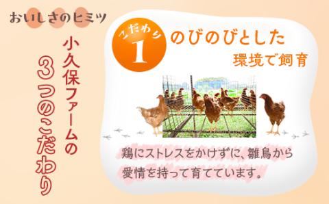 小久保ファーム　濃厚卵黄　産みたてたまご　赤玉80個入り（M玉） | 卵 80個 赤玉 玉子 たまご タマゴ 生卵 鶏卵 生みたて 産みたて 新鮮 濃厚 健康 TKG たまごかけごはん ご飯のお供 国産 ギフト 贈答 贈り物 お中元 お歳暮 プレゼント 茨城県 古河市 直送 農家直送 産地直送 送料無料 _EI03