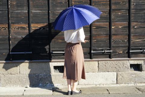 雪華模様のオリジナル傘（サイズ60cm）「もらっても、贈っても喜ばれる傘」カラー：ネイビー | 傘 かさ 60センチ 雨具 メンズ レディース 兼用 雪の結晶 ネイビー 紺 おしゃれ かわいい スタイリッシュ 雨 梅雨 贈答 贈り物 プレゼント 父の日 母の日 お中元 お歳暮 御歳暮 茨城県 古河市 送料無料 _BL06