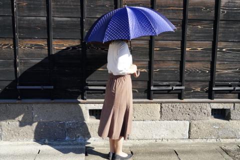 雪華模様のオリジナル傘（サイズ65cm）カラー：ネイビー | 傘 かさ 65センチ 雨具 メンズ レディース 兼用 雪の結晶 ネイビー 紺 おしゃれ かわいい スタイリッシュ 雨 梅雨 贈答 贈り物 プレゼント 父の日 母の日 お中元 お歳暮 御歳暮 茨城県 古河市 送料無料 _BL10