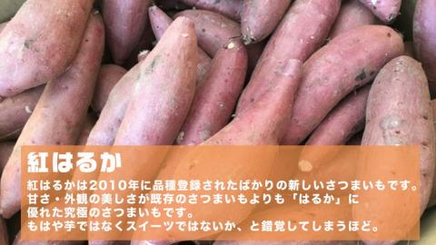 オーガニックさつまいも(紅はるか）10kg【農薬・肥料不使用】土つき〈茨城県共通返礼品・つくばみらい市> ※2023年9月上旬～2024年2月下旬頃に順次発送予定 | さつまいも サツマイモ 薩摩芋 茨城県 _DM02