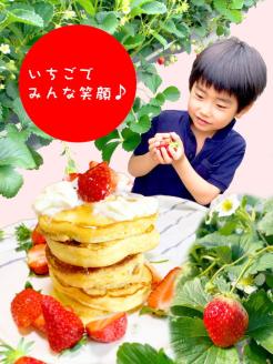 摘みたて！旬のいちご600g（300g×2） ※北海道・沖縄・離島への配送不可 ※2025年1月中旬頃より順次発送予定 | いちご 苺 イチゴ 600グラム 2パック フルーツ 小分け おいしい いばらキッス 紅ほっぺ よつぼし 恋みのり 取り寄せ お取り寄せ ギフト 贈答 贈り物 プレゼント 茨城県 古河市 直送 農家直送 産地直送 送料無料 _BI10