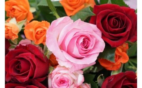 生産農家直送！大輪のバラ花束 25本セット ※沖縄・離島への配送不可 | 25本 植物 花 華 お花 フラワー 生花 切り花 花持ち ばら バラ 薔薇 ローズ 花束 ブーケ 包装 ご家庭用 ギフト 記念日 誕生日 結婚記念日 結婚 送別 歓迎 イベント 発表会 卒業式 サプライズ お祝い 高評価 感動 癒し 女性 男性 紳士 贈答 贈り物 プレゼント 茨城県 古河市 名産 特産 直送 農家直送 産地直送 苅部バラ園 送料無料 _AL05