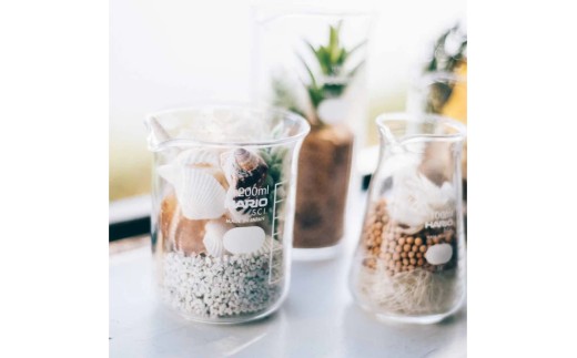 HARIO ビーカー 200ml [BK-200] | 耐熱 ガラス HARIO ハリオ 食器 器 キッチン 日用品 キッチン用品 日本製 おしゃれ かわいい コーヒー サーバー 花瓶 フラワーベース 軽量カップ 電子レンジ可 ビーカー _FU46　※離島への配送不可