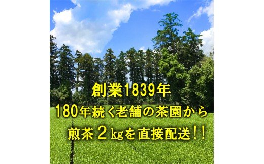 匠の技　「さしま茶」産地元詰 2kg （500g×4本） | お茶 2キロ 小分け 大容量 茶 緑茶 茶葉 日本茶 煎茶 さしま茶 猿島茶 詰合せ 取り寄せ お取り寄せ 老舗 お中元 ギフト 贈答 贈り物 プレゼント 茨城県 古河市 直送 農家直送 産地直送 送料無料 _BM01