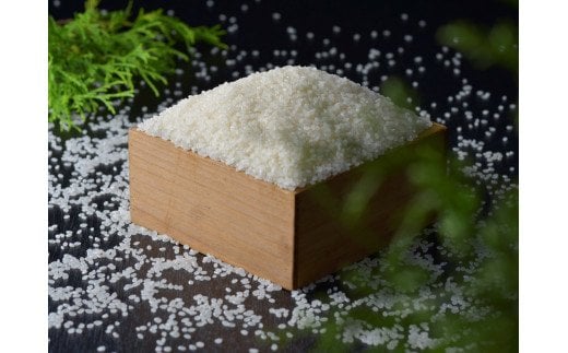 【令和5年産】毎月届く定期便！古河市産コシヒカリ5kg×6回【小久保農園】米/頒布会/分割配送/こしひかり/30kg | 米 こめ コメ 定期便 5キロ こしひかり コシヒカリ 古河市産 茨城県産 贈答 贈り物 プレゼント 茨城県 古河市 直送 農家直送 産地直送 送料無料 _AS06