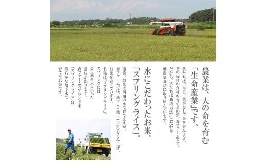 【定期便】1年間毎月届く！低農薬米こしひかり（偶数月）とミルキークイーン（奇数月）5kg ※季節の特産品付き | 米 こめ コメ 5キロ 定期便 低農薬米 食べ比べ 食べくらべ こしひかり コシヒカリ ミルキークイーン みるきーくいーん 特産品 古河市産 茨城県産 贈答 贈り物 プレゼント 茨城県 古河市 直送 農家直送 産地直送 送料無料 _BI03