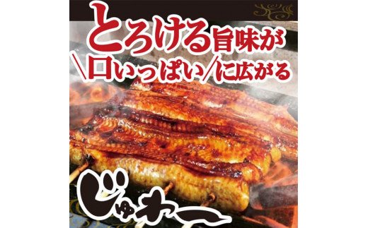 うなぎ蒲焼き&白焼きセット（蒲焼き：160g×1・白焼き：160g×1） | うなぎ 鰻 ウナギ 320グラム 国産 かば焼き 蒲焼き 蒲焼 白焼き うな重 ひつまぶし たれ 山椒 人気 食べくらべ 食べ比べ セット 詰め合わせ おすすめ 取り寄せ お取り寄せ グルメ 惣菜 ギフト 贈答 贈り物 プレゼント お中元 お歳暮 御歳暮 茨城県 古河市 直送 店舗直送 送料無料 _AT04