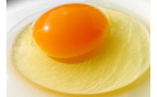 江原ファーム アローカナの青い卵 ５０個 割れ補償 | 卵 50個 玉子 たまご タマゴ 生卵 鶏卵 生みたて 産みたて アローカナ 新鮮 濃厚 健康 青い卵 TKG たまごかけごはん ご飯のお供 国産 ギフト 贈答 贈り物 お中元 お歳暮 プレゼント 茨城県 古河市 直送 農家直送 産地直送 送料無料 _AG02