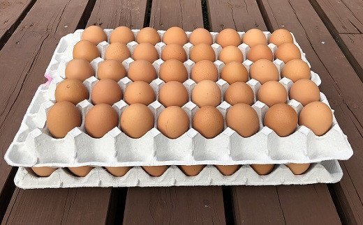 江原ファーム 体に優しい地養卵 ８０個 割れ補償 | 卵 80個 赤玉 玉子 たまご タマゴ 生卵 鶏卵 生みたて 産みたて 地養卵 新鮮 濃厚 健康 TKG たまごかけごはん ご飯のお供 国産 ギフト 贈答 贈り物 お中元 お歳暮 プレゼント 直送 農家直送 産地直送 送料無料 _AG05